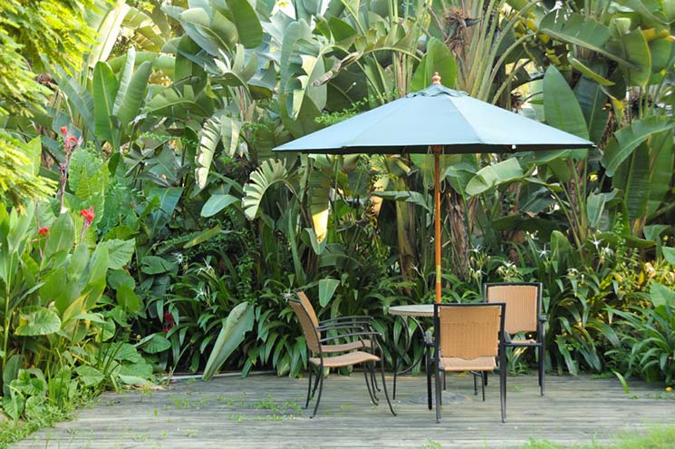 Backyard Umbrella Enclosure