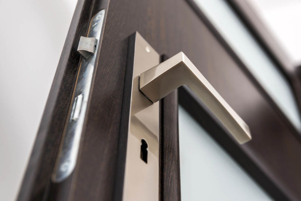 Door handle and lock of a security door