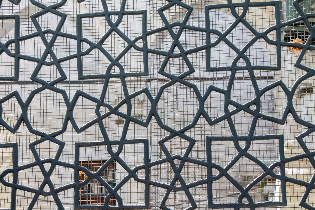 Abstract style screen door.