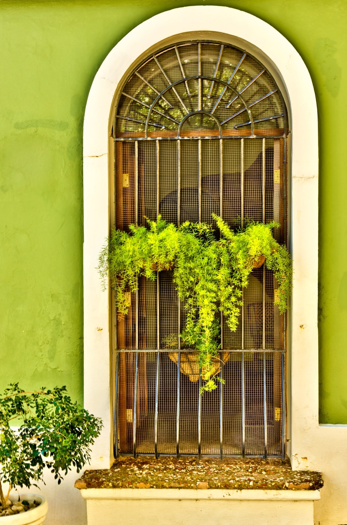 Eclectic arch front door with metallic screen.